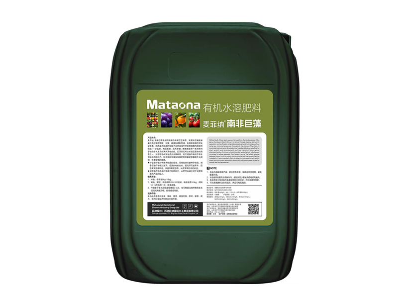 麦菲纳·南非巨藻 25KG.png