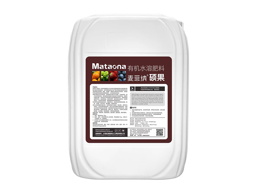 麦菲纳·硕果 25KG-2.png